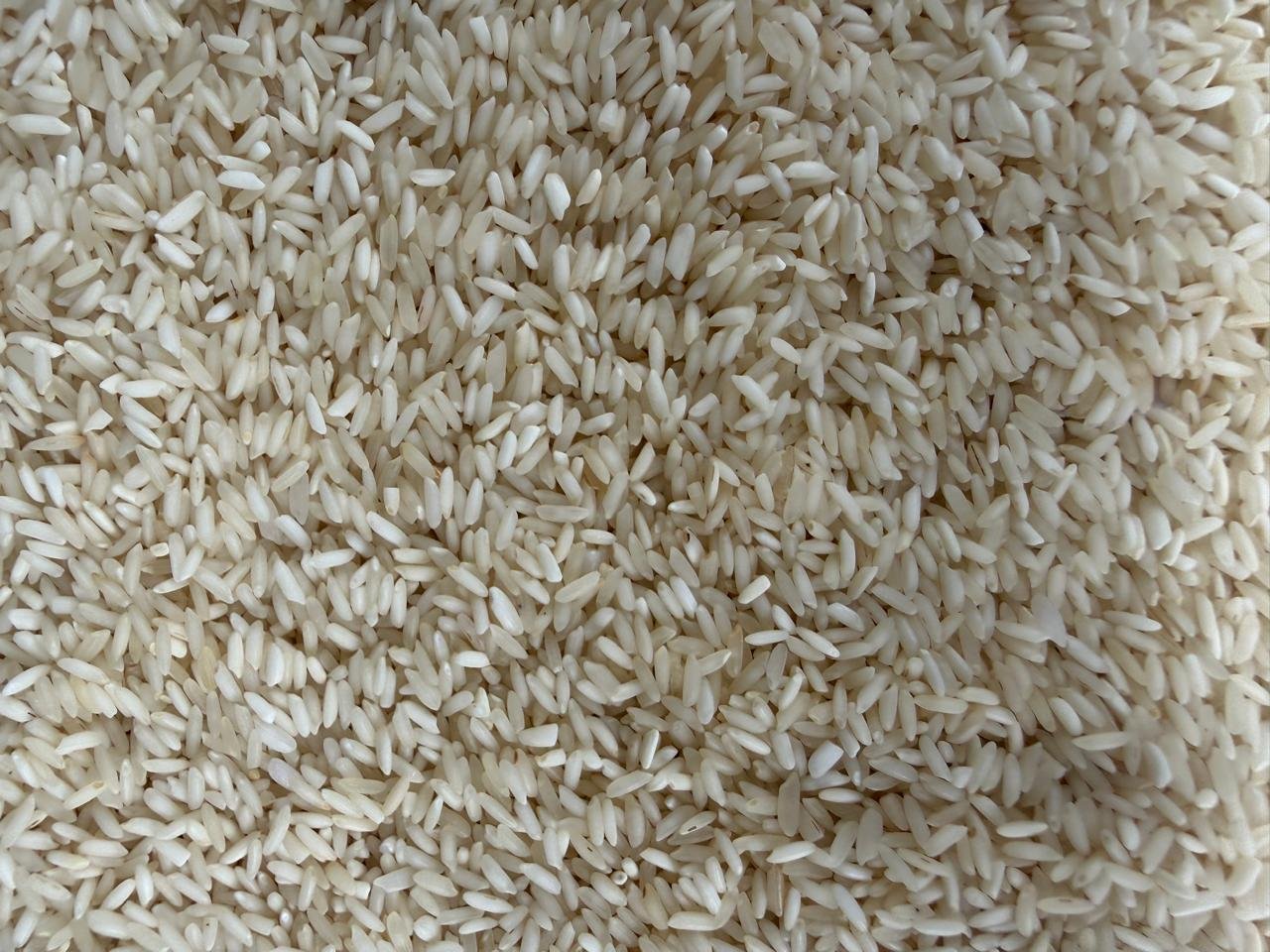 Kolam Sriram Rice